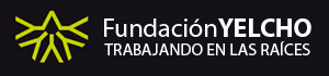 Fundación Yelcho