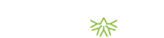 Fundación Yelcho